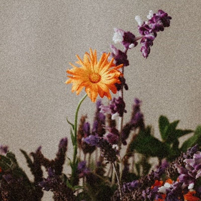 Floreciendom - Ramo Sanador Abundante