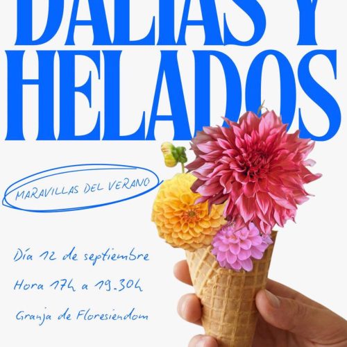 LAS MARAVILLAS DEL VERANO: DALIAS Y HELADOS